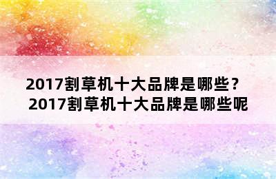 2017割草机十大品牌是哪些？ 2017割草机十大品牌是哪些呢